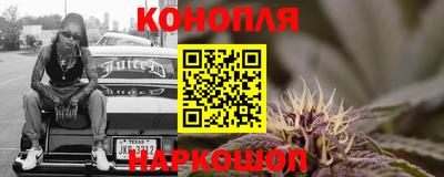 крисы Бузулук